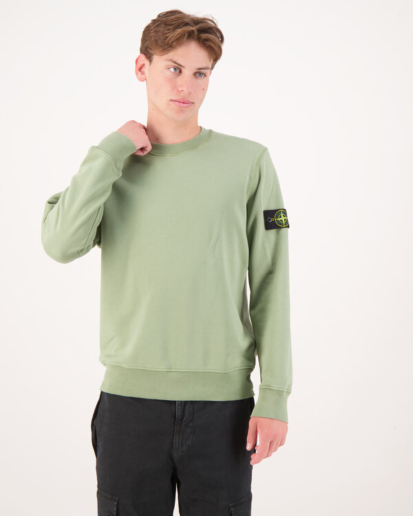 6100060 Organic Cotton Fleece Sweater Sage