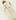 Area Lo Piping Sneaker Beige