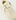Area Lo Piping Sneakers Beige