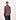 Supima Polo Schiller Collar Long Sleeve Brown