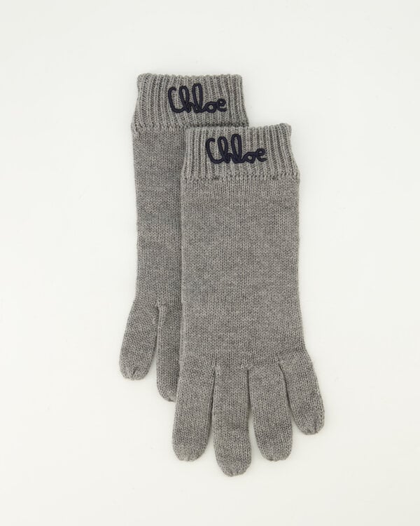 Logo Handschoenen Grijs
