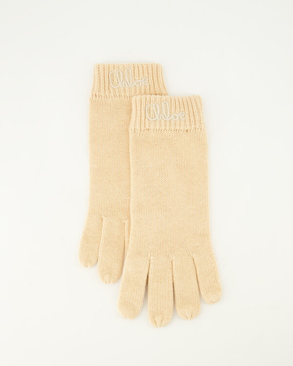 Logo-Handschuhe Braun