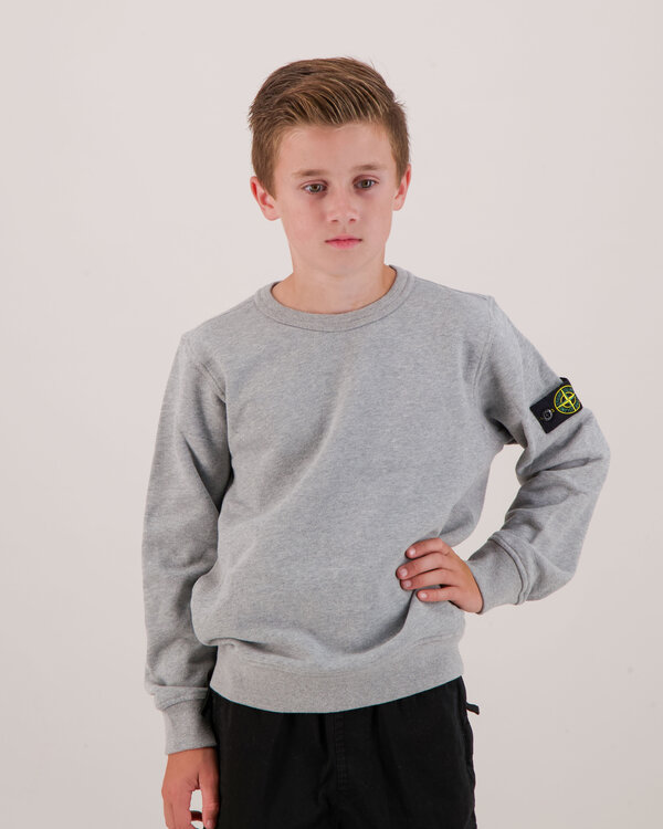 6100001 Felpa Sweater Grijs
