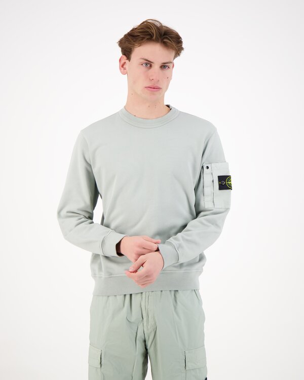 6100019 Cotton Fleece With Seasonal Sweater Sage