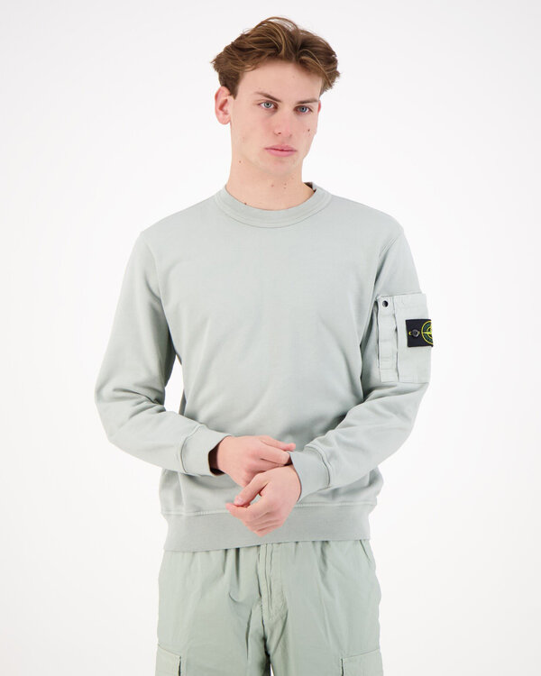 6100019 Cotton Fleece With Seasonal Sweater Sage