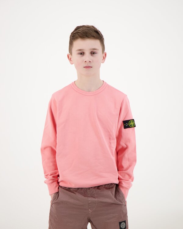 6100005 Organic Cotton Sweatshirt Camelia