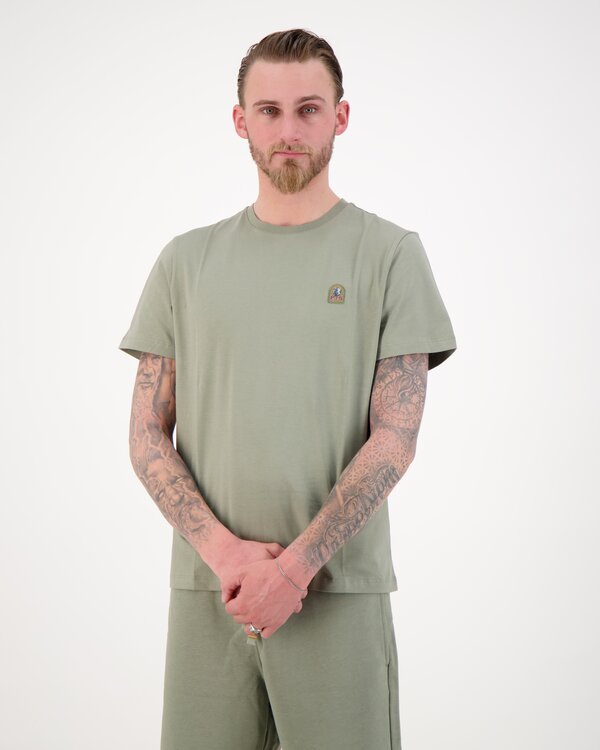 Patch-T-Shirt Salbei