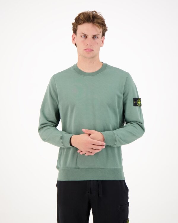 6100060 Organic Cotton Fleece Garment Sweater Light Green