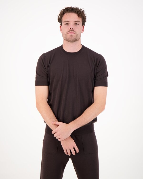 Royal Merino T-Shirt Bruin