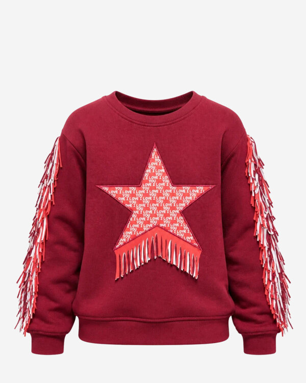 Star Fleece Sweatshirt Brown