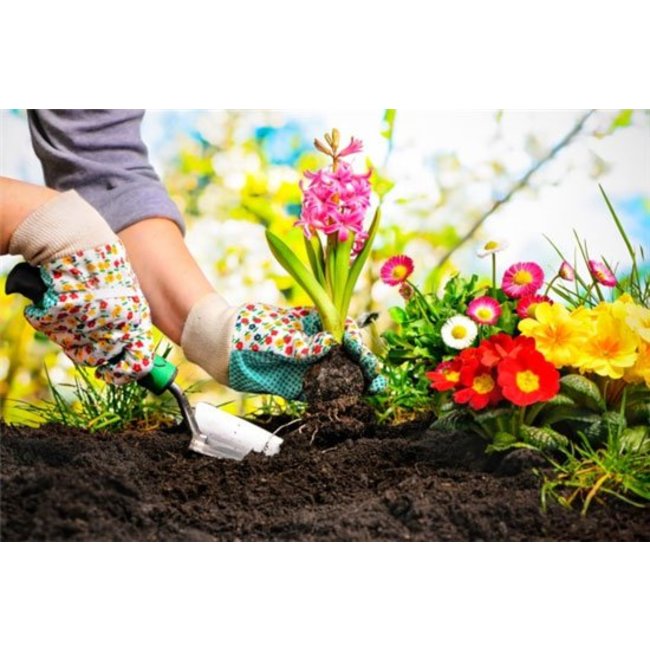 Esotec Waterdrops - plantdruppelaar met zonnecel