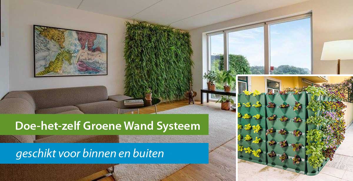Veronderstellen Hoogland belegd broodje Doe-het-zelf groene wand systeem - De Groene Hoed Duurzaam