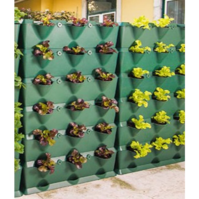 Minigarden Vertical  Groene wandmodule 3-delige  starterset