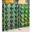 Minigarden Vertical  Groene wandmodule 3-delige  starterset