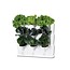 Minigarden Vertical  starterset van 3 modules