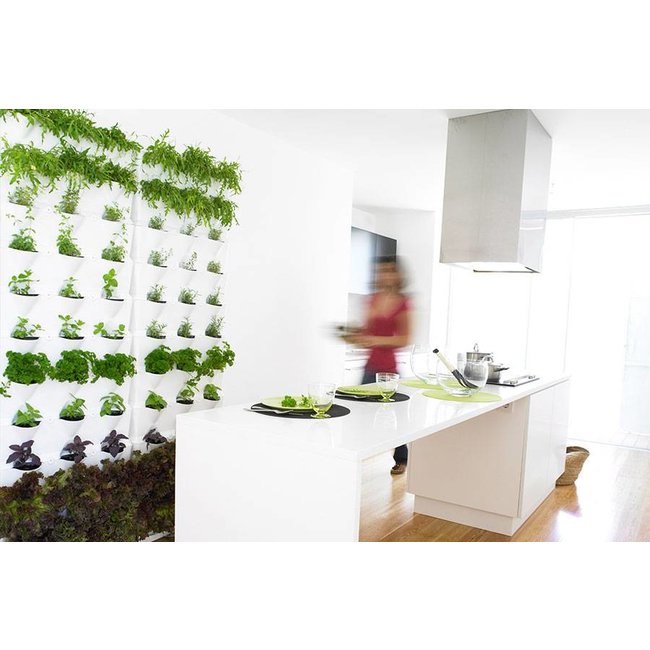 Minigarden Vertical  Groene wandmodule 3-delige  starterset