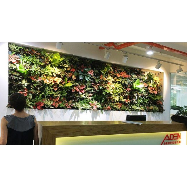 Vertical Groene wandmodule 3-delige starterset - Groene Hoed Duurzaam