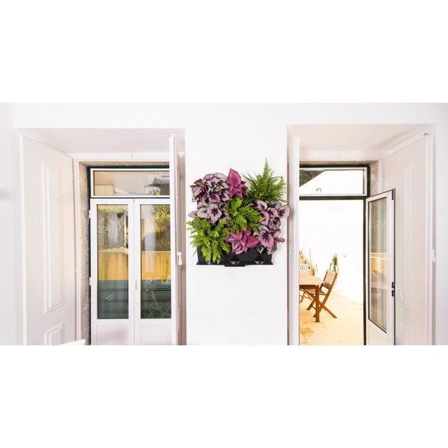 Minigarden Vertical  Groene wandmodule 3-delige  starterset