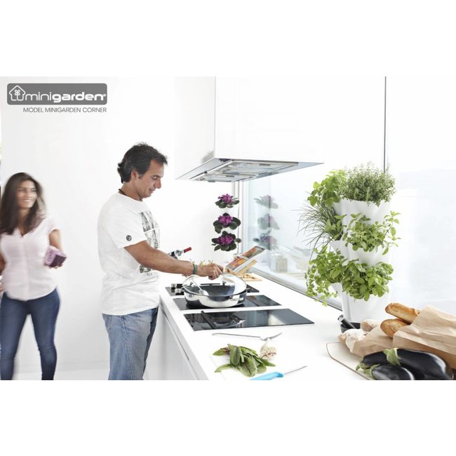 Minigarden  Groene wand Hoekmodule 3-delige  starterset