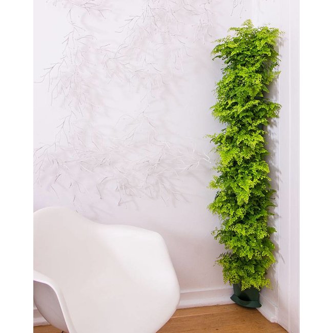 Minigarden  Groene wand  hoekkolom