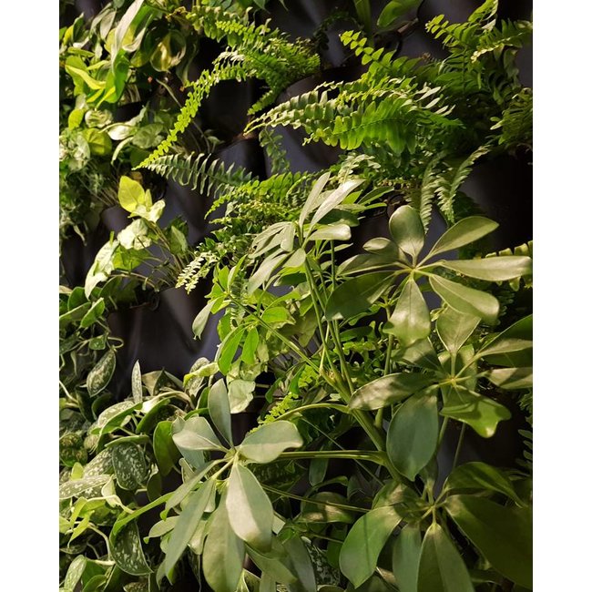 Minigarden Vertical  module - uitbreidingsset