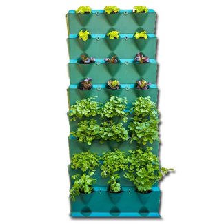 Minigarden Vertical Kitchen Garden