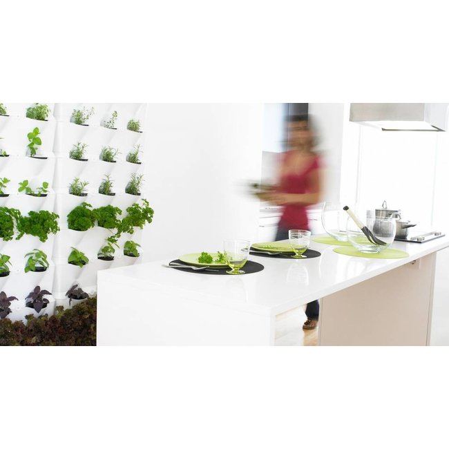 Minigarden Vertical Kitchen Garden