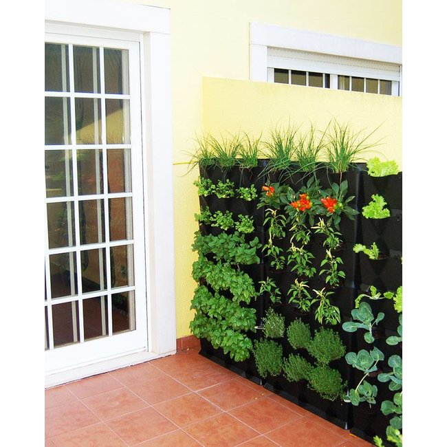 Minigarden Vertical Kitchen Garden