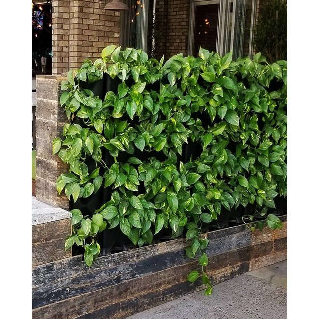 Minigarden Vertical Kitchen Garden