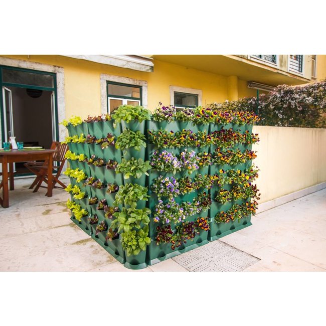 Minigarden Vertical Kitchen Garden