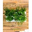 Minigarden Vertical  0.75m2 combinatie pakket voor aan de wand