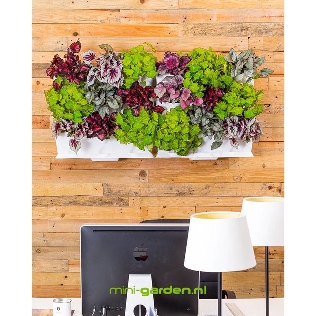 Minigarden Vertical  0.75m2 combinatie pakket voor aan de wand