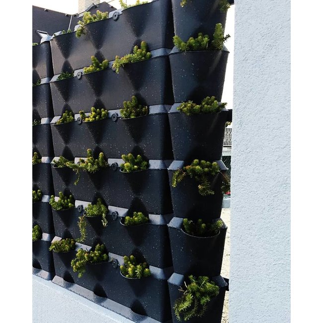 Minigarden Vertical en Corner 1m2 combinatie pakket