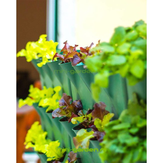 Minigarden Vertical en Corner 1.75m2 combinatie pakket