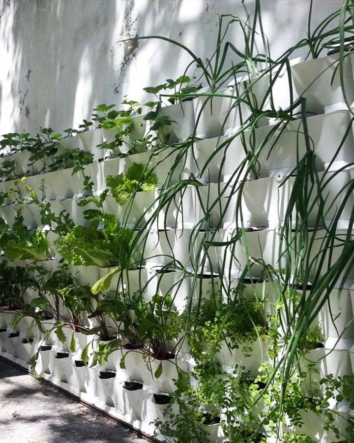 Vertical 3.0m2 combinatie pakket - Groene Hoed Duurzaam - De Groene