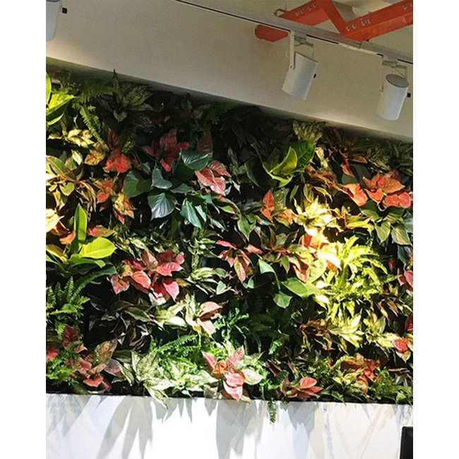 Minigarden Vertical 3.0m2  combinatie pakket