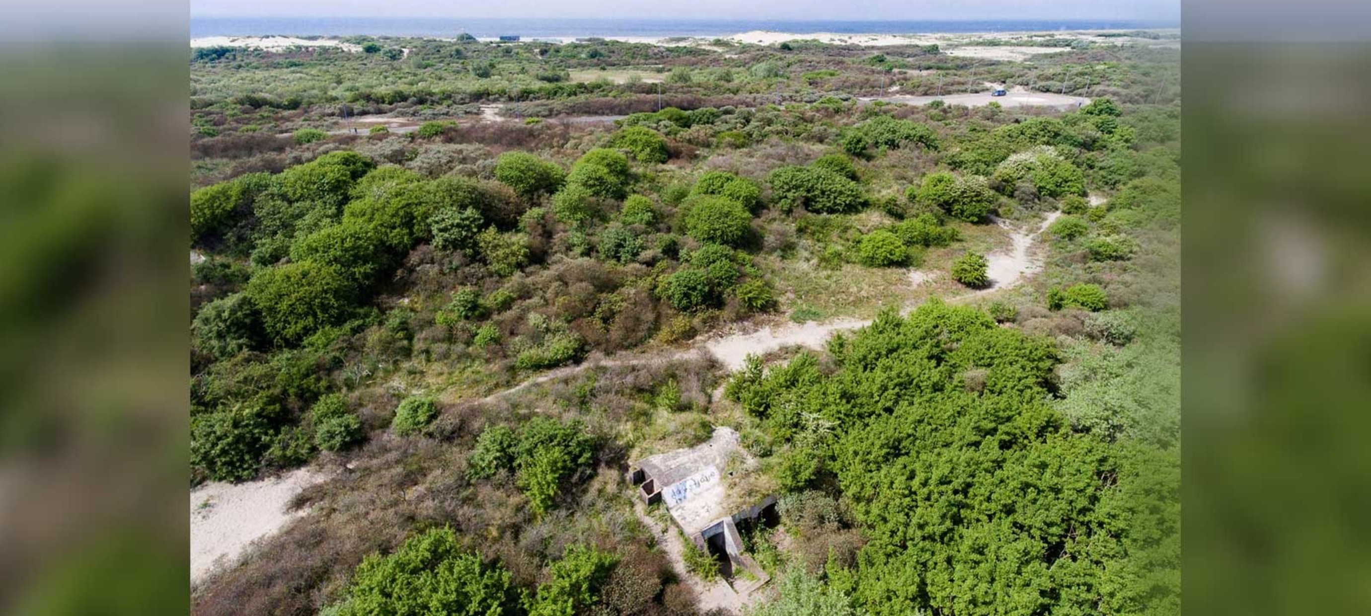 Logeren in dé ecologische Atlantikwall-bunker van Hoek van Holland