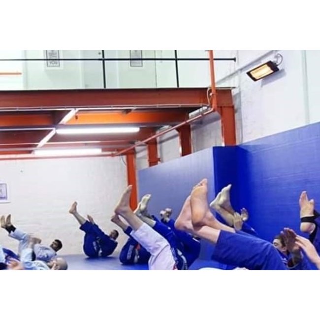 Herschel Colorado 2500R - Terrasverwarmer met afstandsbediening