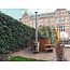 Ecolink Solutions ABCAT Houtrookfilter voor de hottub
