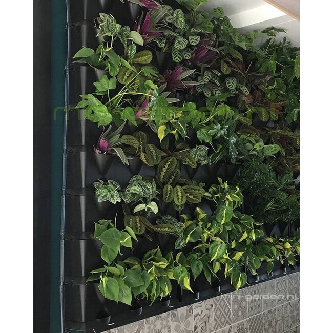 Minigarden Groene Wand 5,5 m2  incl irrigatiesysteem- Showroom model