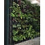 Minigarden Groene Wand 5,5 m2  incl irrigatiesysteem- Showroom model