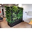 Minigarden Groene Wand 5,5 m2  incl irrigatiesysteem- Showroom model