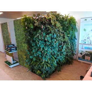 Minigarden Groene Wand 5,5 m2  incl irrigatiesysteem- Showroom model