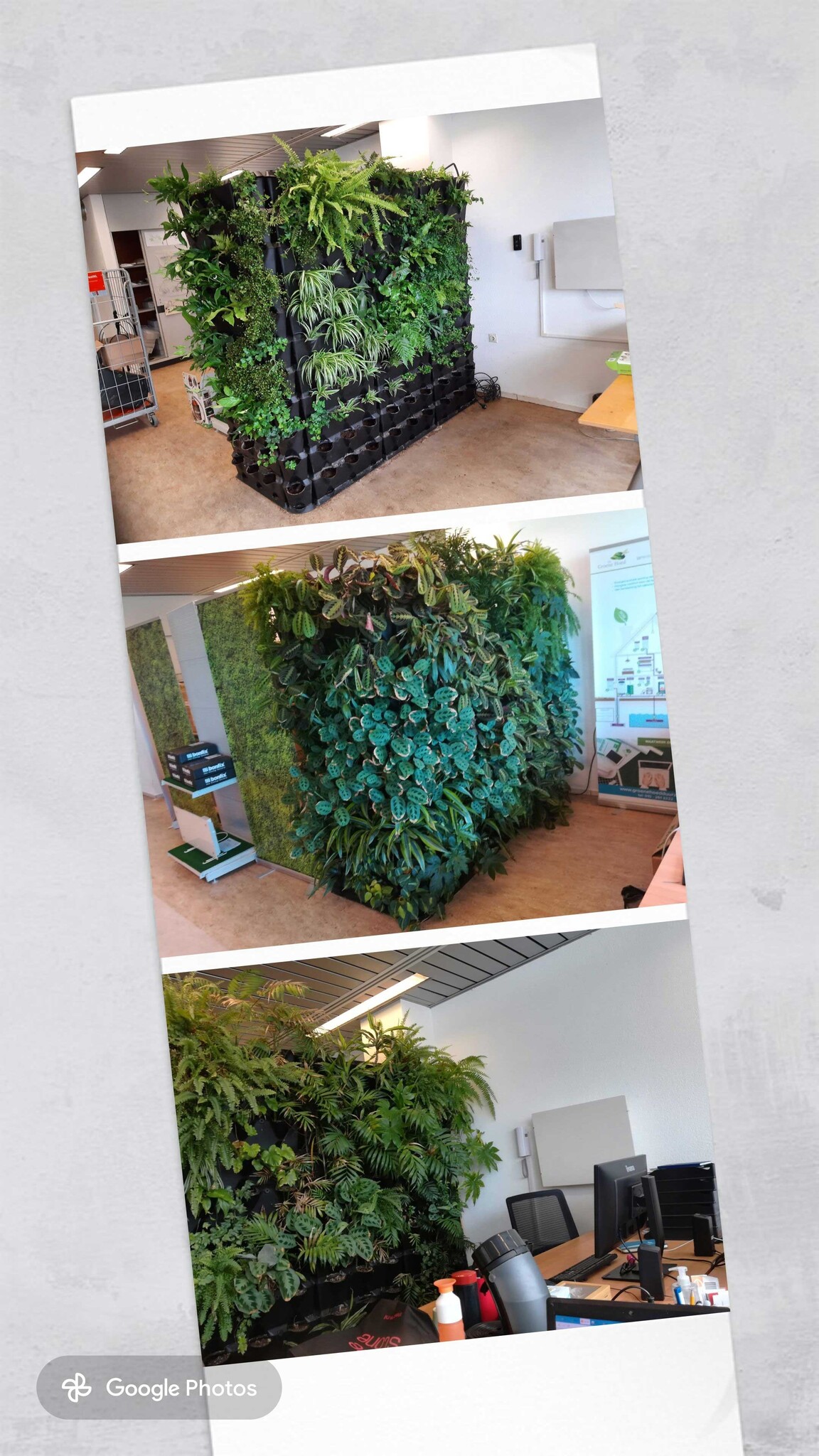 showroom model minigarden
