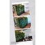 Minigarden Groene Wand 5,5 m2  incl irrigatiesysteem- Showroom model