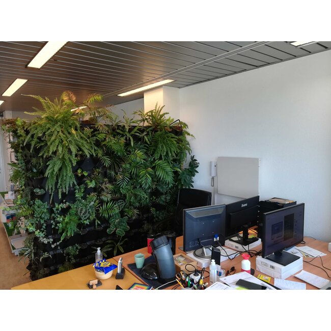 Minigarden Groene Wand 5,5 m2  incl irrigatiesysteem- Showroom model