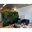 Minigarden Groene Wand 5,5 m2  incl irrigatiesysteem- Showroom model