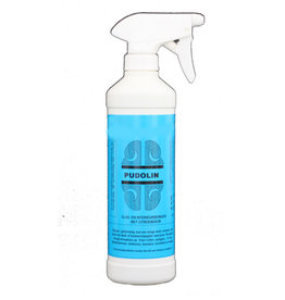 PUDOL Pudolin Glas-Interieur reiniger 500 cc. Incl sproeier