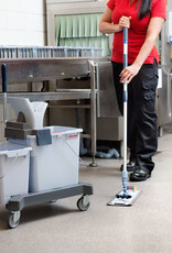Vileda Vileda UltraSpeed  SafetyScrub mop