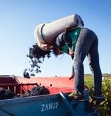 Vignerons Catalans Croix Milhas Spécial Réserve Rivesaltes 20 Ans d'Age